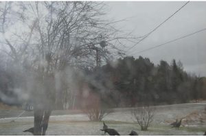 W4699 CTH S, , Skanawan,  WI 54442