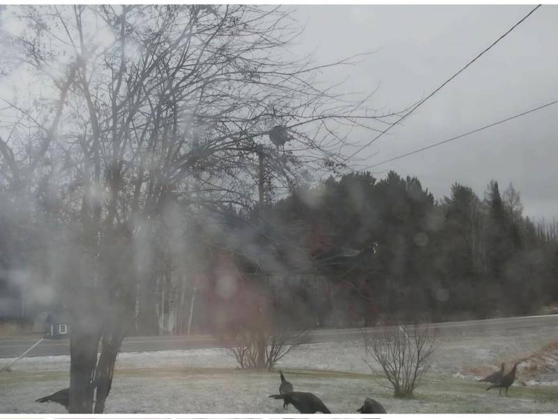 W4699 CTH S, , Skanawan,  WI 54442