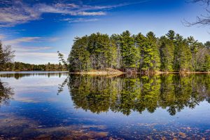 2138 Sunset Dr, Nokomis, Tomahawk,  WI 54487 United States