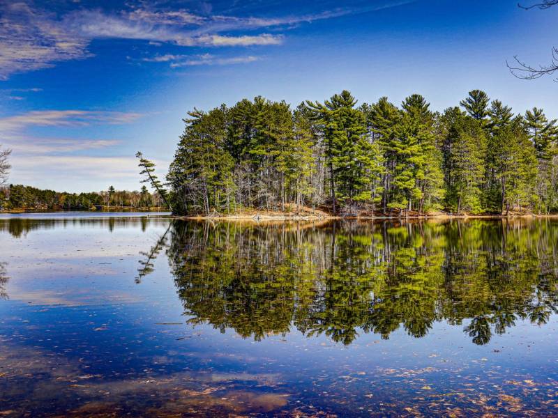 2138 Sunset Dr, Nokomis, Tomahawk,  WI 54487 United States