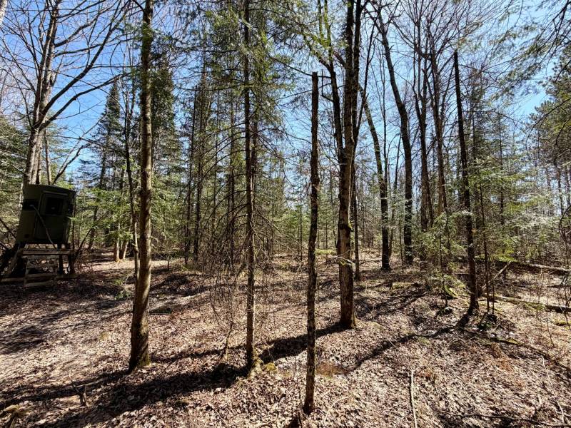 W11081 Greene Dr  Somo, Tripoli,  WI 54564 USA