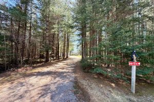W11081 Greene Dr  Somo, Tripoli,  WI 54564 USA