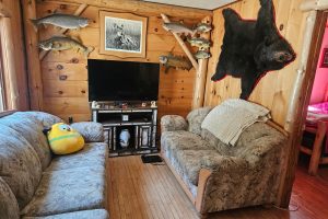 Minocqua, Arbor Vitae,  WI 54568 United States