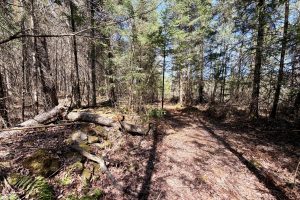 W11081 Greene Dr  Somo, Tripoli,  WI 54564 USA