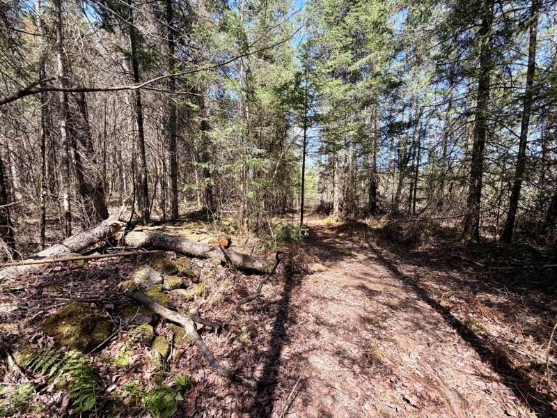 W11081 Greene Dr  Somo, Tripoli,  WI 54564 USA