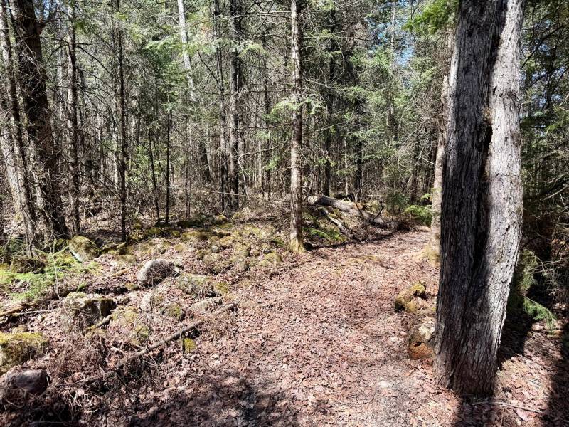 W11081 Greene Dr  Somo, Tripoli,  WI 54564 USA