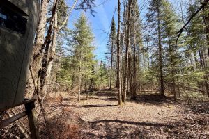 W11081 Greene Dr  Somo, Tripoli,  WI 54564 USA