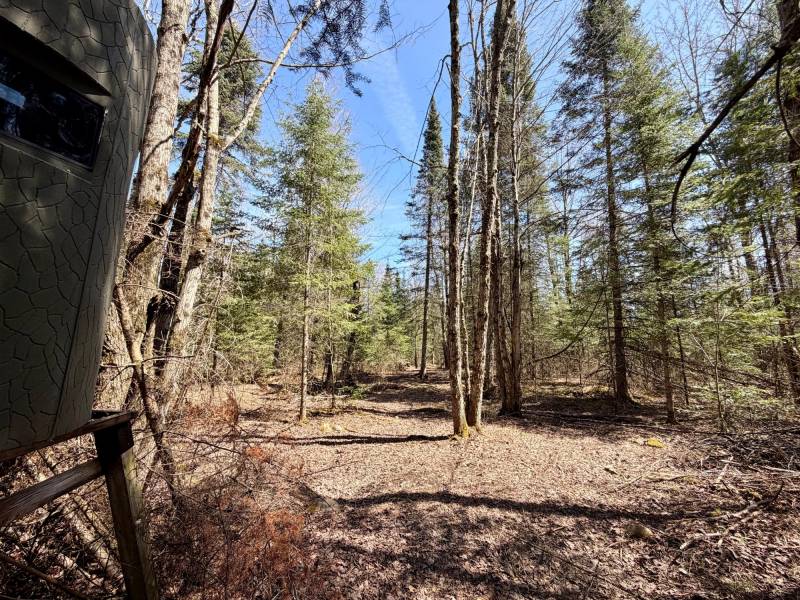 W11081 Greene Dr  Somo, Tripoli,  WI 54564 USA