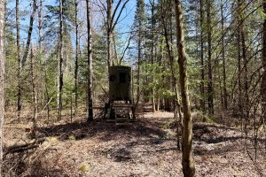W11081 Greene Dr  Somo, Tripoli,  WI 54564 USA