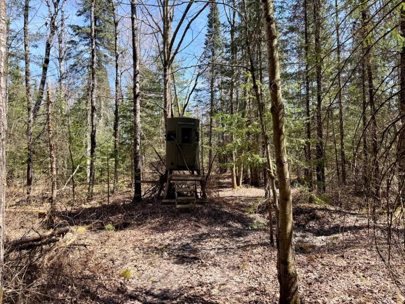 W11081 Greene Dr  Somo, Tripoli,  WI 54564 USA