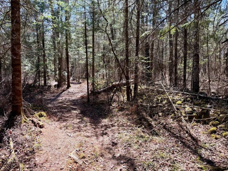 W11081 Greene Dr  Somo, Tripoli,  WI 54564 USA