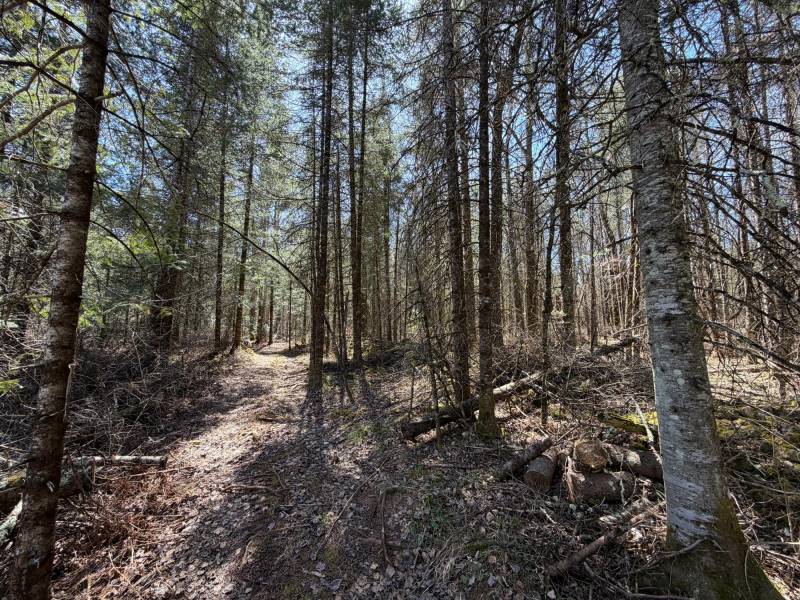 W11081 Greene Dr  Somo, Tripoli,  WI 54564 USA