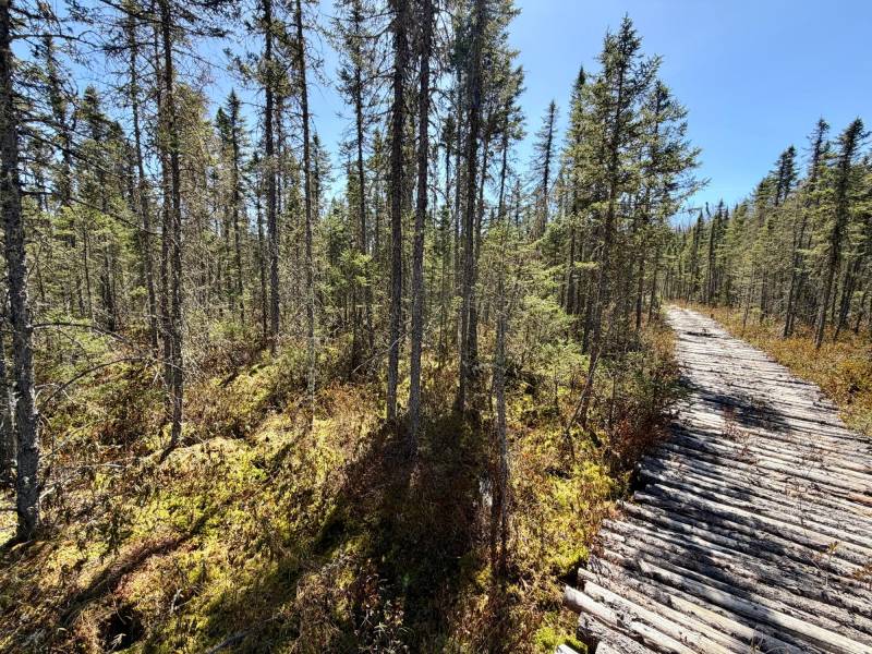 W11081 Greene Dr  Somo, Tripoli,  WI 54564 USA