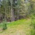 10362 Leisure Dr N, ,