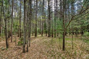 1241 Donald Dr, , Arbor Vitae,  WI 54568