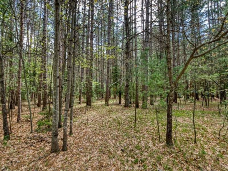 1241 Donald Dr, , Arbor Vitae,  WI 54568
