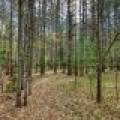 1241 Donald Dr, , Arbor Vitae,  WI 54568