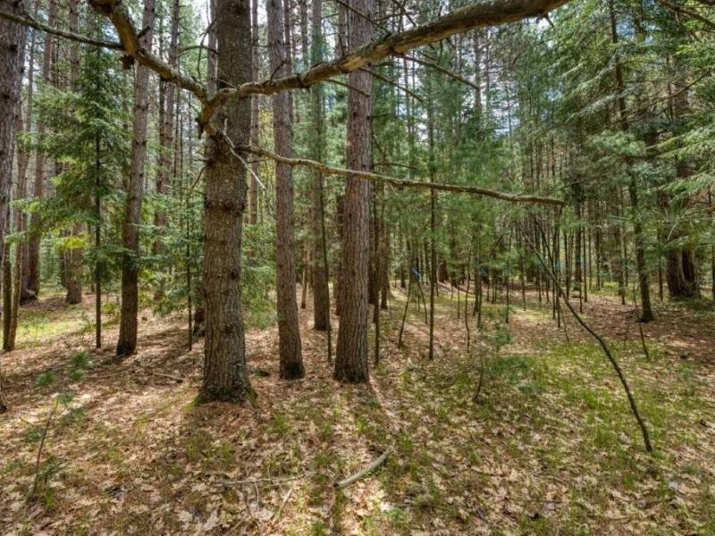 1241 Donald Dr, , Arbor Vitae,  WI 54568
