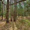 1241 Donald Dr, , Arbor Vitae,  WI 54568
