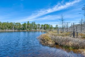 2814 Pickerel Lake Rd, , Eagle River,  WI 54521