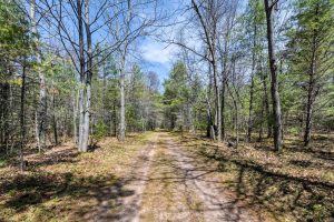 2814 Pickerel Lake Rd, , Eagle River,  WI 54521