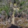 2814 Pickerel Lake Rd, , Eagle River,  WI 54521