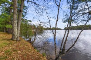 3-N12090 Heafford Rd, , Bradley,  WI 54487