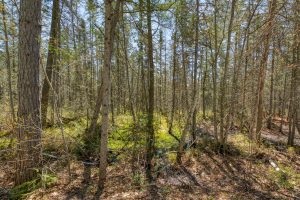 3004 Kerr Ln, , Phelps,  WI 54554