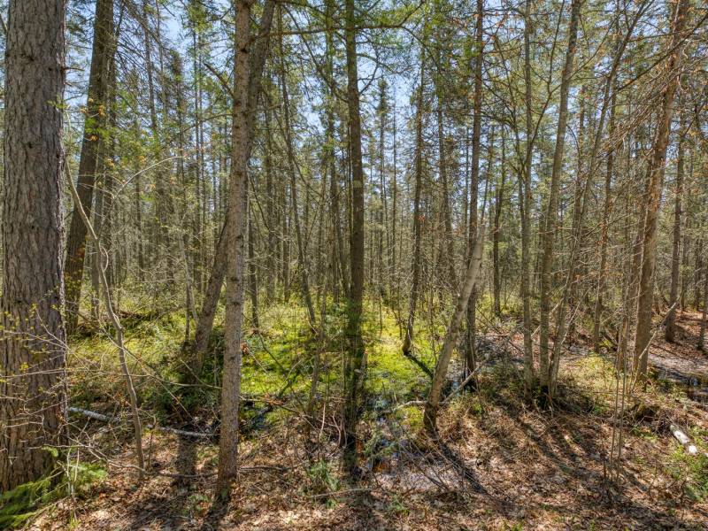 3004 Kerr Ln, , Phelps,  WI 54554