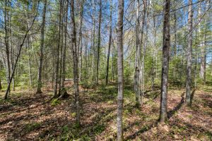 3004 Kerr Ln, , Phelps,  WI 54554