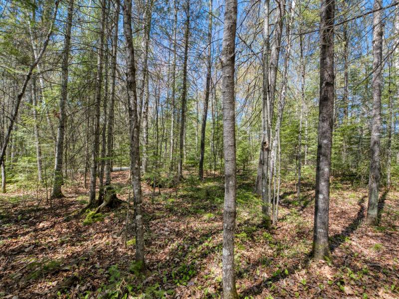 3004 Kerr Ln, , Phelps,  WI 54554