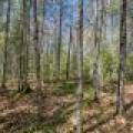 3004 Kerr Ln, , Phelps,  WI 54554