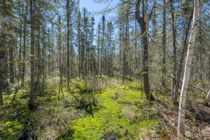 3004 Kerr Ln, , Phelps,  WI 54554