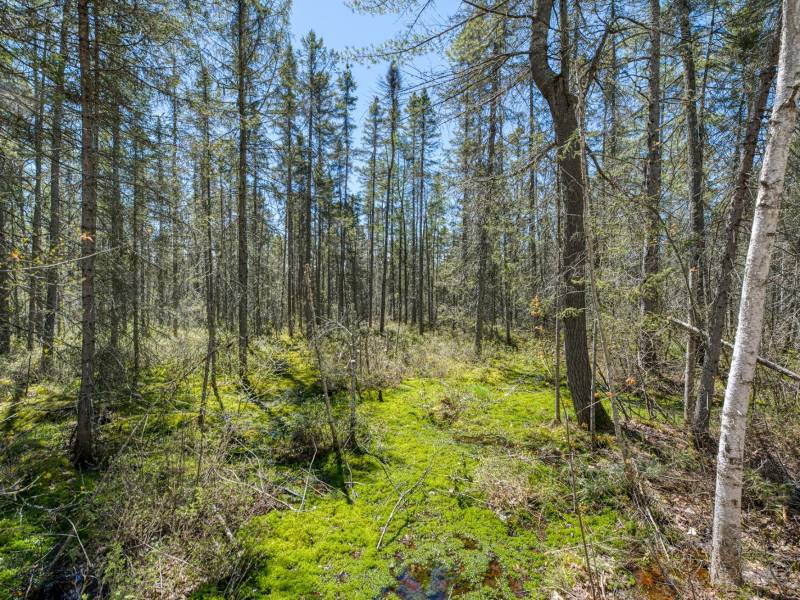 3004 Kerr Ln, , Phelps,  WI 54554