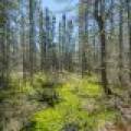 3004 Kerr Ln, , Phelps,  WI 54554