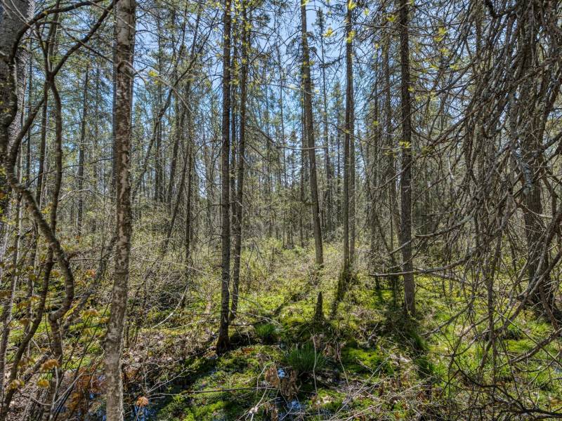 3004 Kerr Ln, , Phelps,  WI 54554