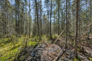 3004 Kerr Ln, , Phelps,  WI 54554