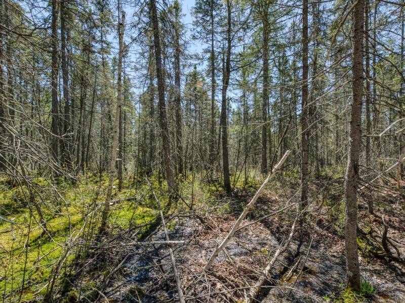 3004 Kerr Ln, , Phelps,  WI 54554