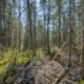3004 Kerr Ln, , Phelps,  WI 54554