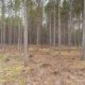 4203 Bobber Dr, , Conover,  WI 54519