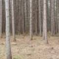 4203 Bobber Dr, , Conover,  WI 54519