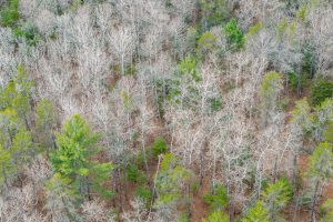 4203 Bobber Dr, , Conover,  WI 54519