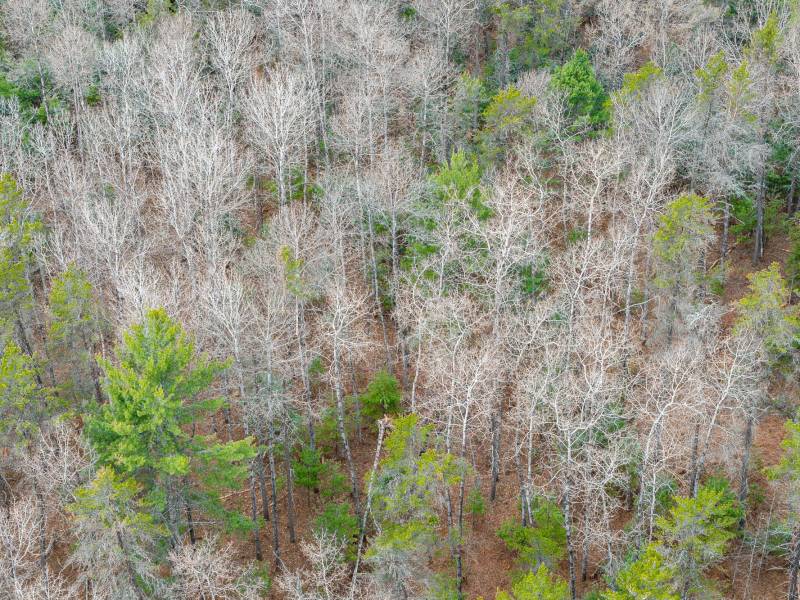 4203 Bobber Dr, , Conover,  WI 54519