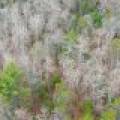 4203 Bobber Dr, , Conover,  WI 54519