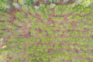 4203 Bobber Dr, , Conover,  WI 54519