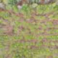 4203 Bobber Dr, , Conover,  WI 54519