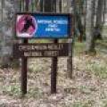 5194 Forest Rd 2154, , Florence,  WI 54121 United States
