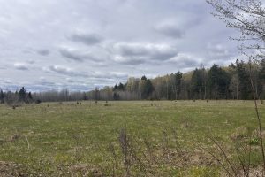 5194 Forest Rd 2154, , Florence,  WI 54121 United States