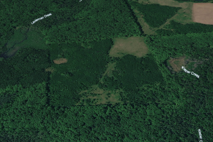 5194 Forest Rd 2154, , Florence,  WI 54121 United States