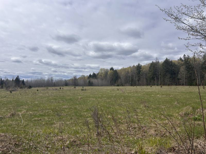 5194 Forest Rd 2154, , Florence,  WI 54121 United States